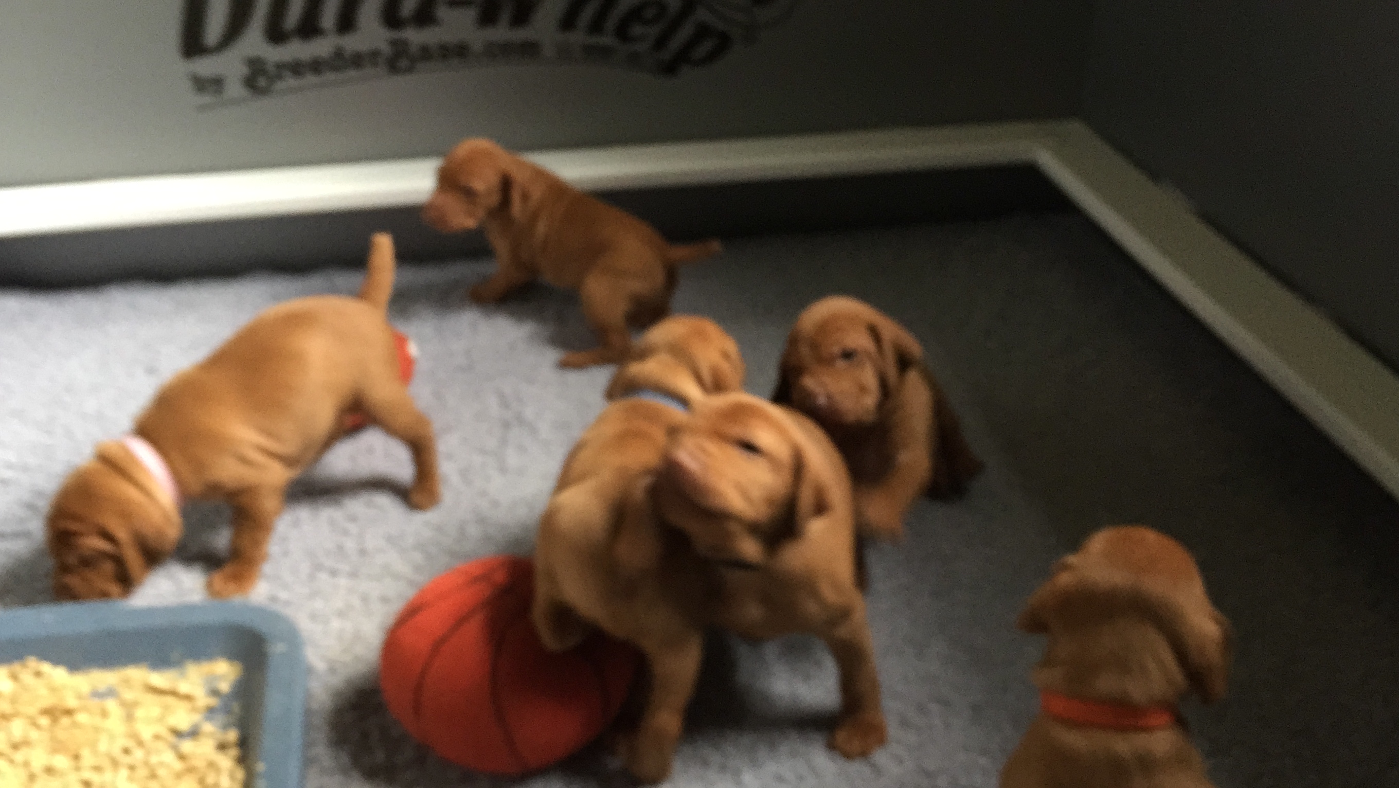 3 Weeks Old (Warning Cuteness Overload)