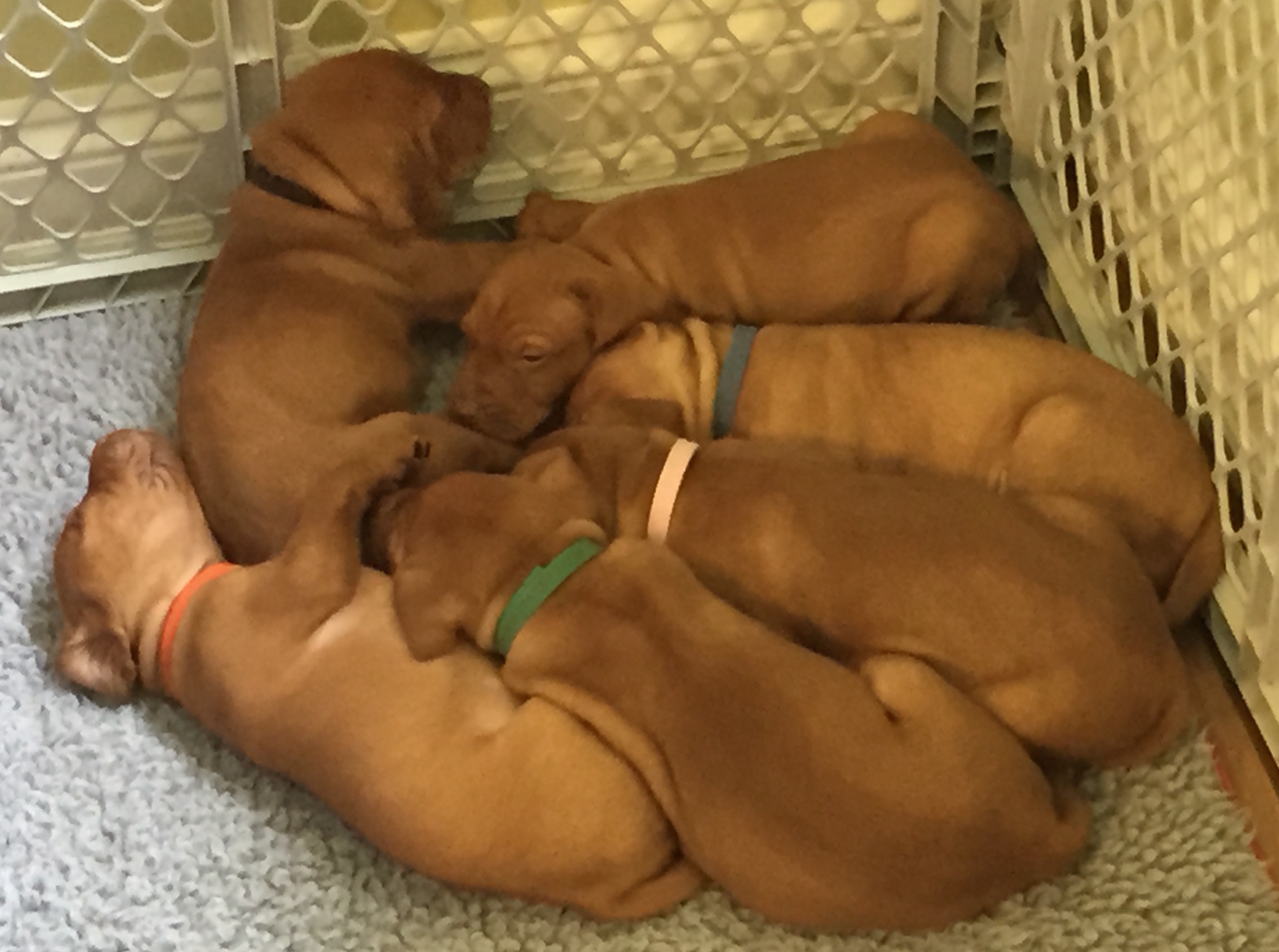 A Few Pictures from the Month of May