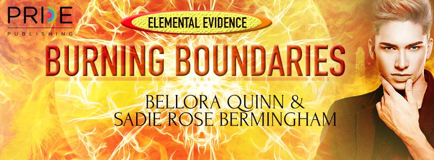 Guest Post—An Interview with Sadie Rose Bermingham—Burning Boundaries Blog Tour